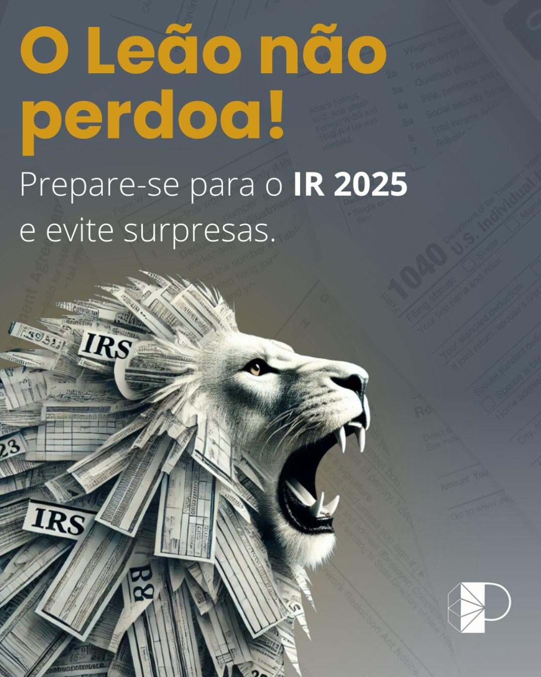 Declaração do IR 2025: Evite Erros e Garanta Sua Restituição